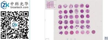 中科光华-U036Ut01