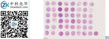 中科光华-F048Br01a