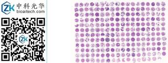 中科光华-U215Bl01