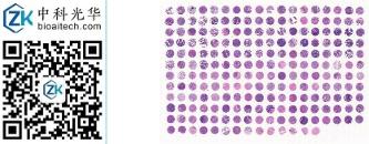 中科光华-F212Mc01