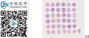 中科光华-K036Sf01