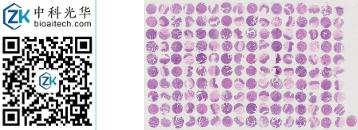 中科光华-D160Co02S