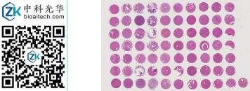 中科光华-D070Lv01