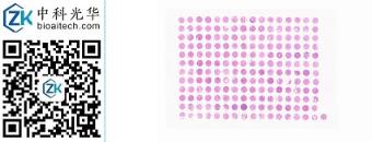 中科光华-M192Pr01