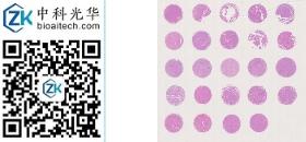 中科光华-D024Lv02