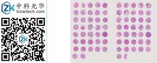 中科光华-F074Ur01