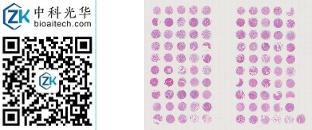 中科光华-R100Lu01