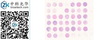 中科光华-K043Sf01