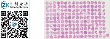 中科光华-D160St01S