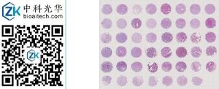 中科光华-E047Ag01