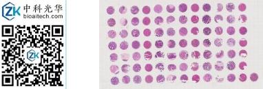 中科光华-D084Co01