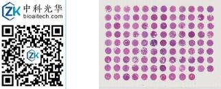 中科光华-D106Lv01