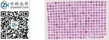 中科光华-D307St01