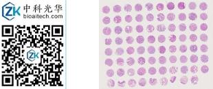 中科光华-D079Es01