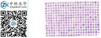 中科光华-F307Br01