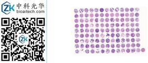 中科光华-X117Mc01