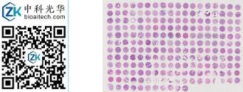 中科光华-X209Mc01