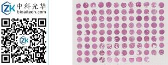 中科光华-F106Ce01