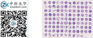 中科光华-D106Co01