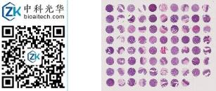 中科光华-D078Co01