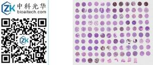 中科光华-K118Me01