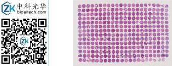 中科光华-F307Ce01