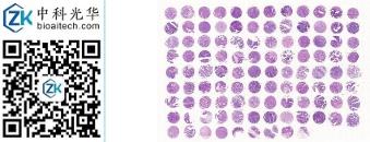 中科光华-D105Co01