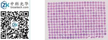 中科光华-D307Es01