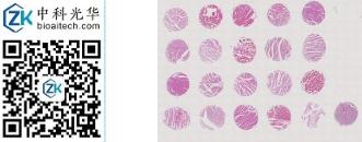 中科光华-CN020Ht01