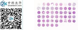 中科光华-K050Sf01