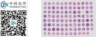 中科光华-F095Br01