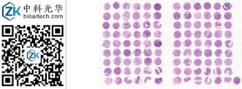 中科光华-X108Mc01