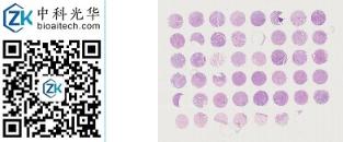 中科光华-F046Ce01