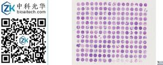 中科光华-R207Lu01