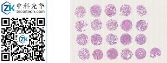 中科光华-T021Pl01