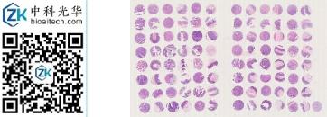 中科光华-D096Co01