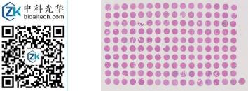 中科光华-D160Lv03