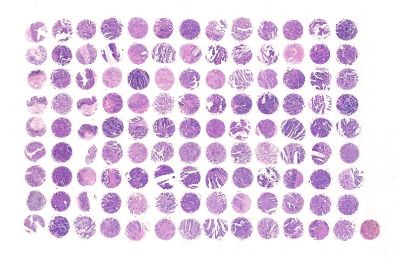 中科光华D117Co01