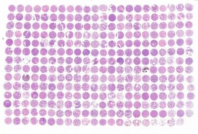 中科光华R307Lu01