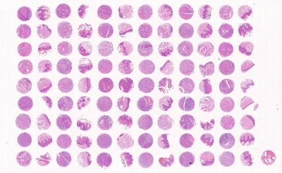 中科光华HN108Oc01