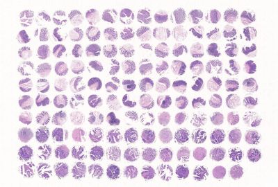 中科光华D139Co01