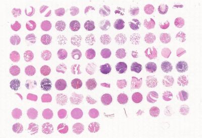 中科光华MuFDA1021c