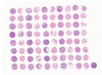 中科光华F080Br01