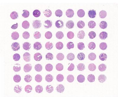 中科光华M068Pr01