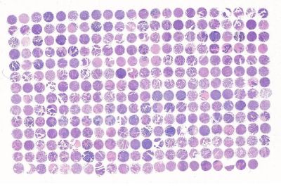 中科光华F307Ov01