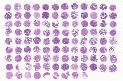 中科光华D105Co01