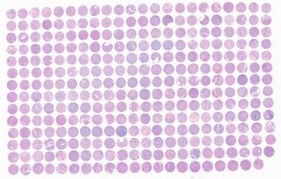 中科光华U307Ki01